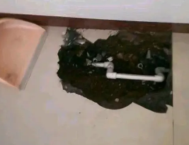 岳阳楼卫生间测漏水多少钱